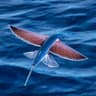 FlyveFisken