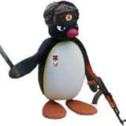 NOOT