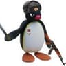 NOOT