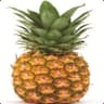 Very Disappointing Pineapple