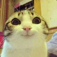 osku