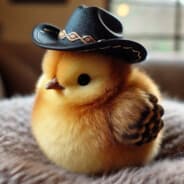 Cowgirl Tendies
