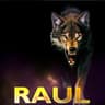 RAUL2