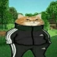 PHONK CAT
