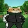 PHONK CAT