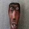 gato rápido
