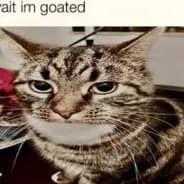 number 95