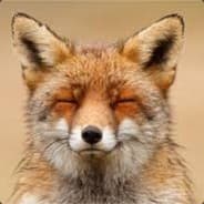 Foxo16