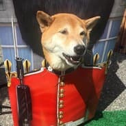 Mr. Dog
