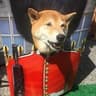 Mr. Dog