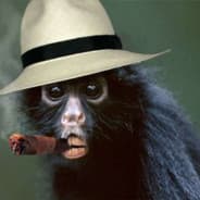 macaco