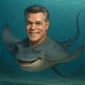 Ray Liotta