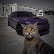 vaNder-w