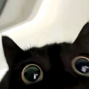 Pikkupiru