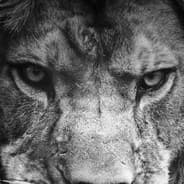 Dr. Leo38:))