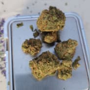Silver Haze PL