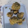 Silver Haze PL
