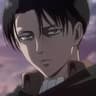 Levi