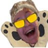 MrPotts
