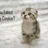 wariarmilk
