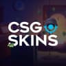 FeniX CSGOSKIN
