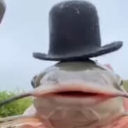 Cheese Man