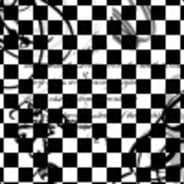 Stereogram