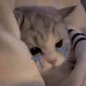 Nashi Plushie