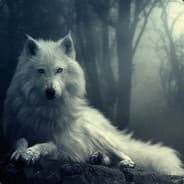 Sleep Wolf