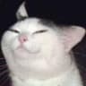 ıno