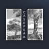 CasePeak