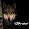 Wolferdus1