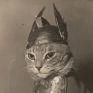 ARCHÆLOT