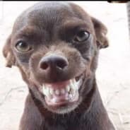 Aksub
