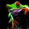FroggyHigh