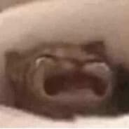 Knapixᵏᵘʳʷᵃ