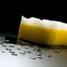 Bullet Sponge The Terrible