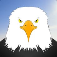 RioEagle