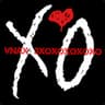 VnaX