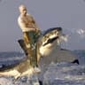 Putin on the Shark