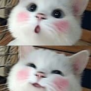 posipaka