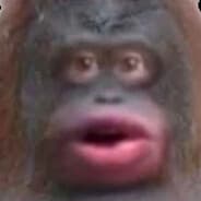 LemmMonke