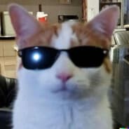 son.