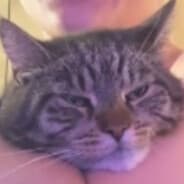 C_L_