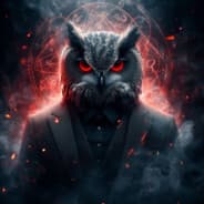 Owl-IN