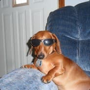 ????????????????????????????