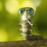 Jorn