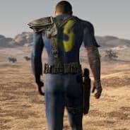 The vault dweller