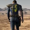 The vault dweller