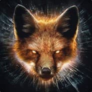 iTzFox ︻芫——